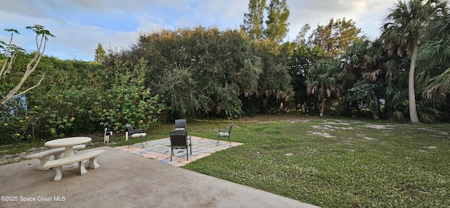 view of yard with a patio