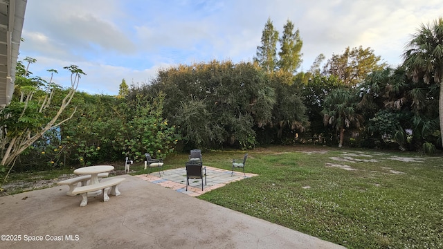 view of yard with a patio area