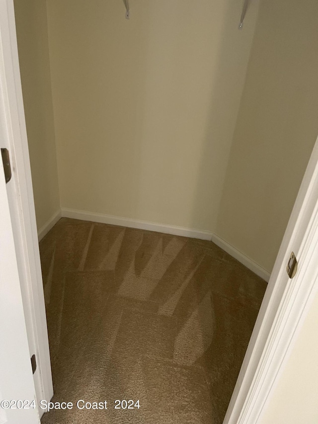 walk in closet featuring carpet floors