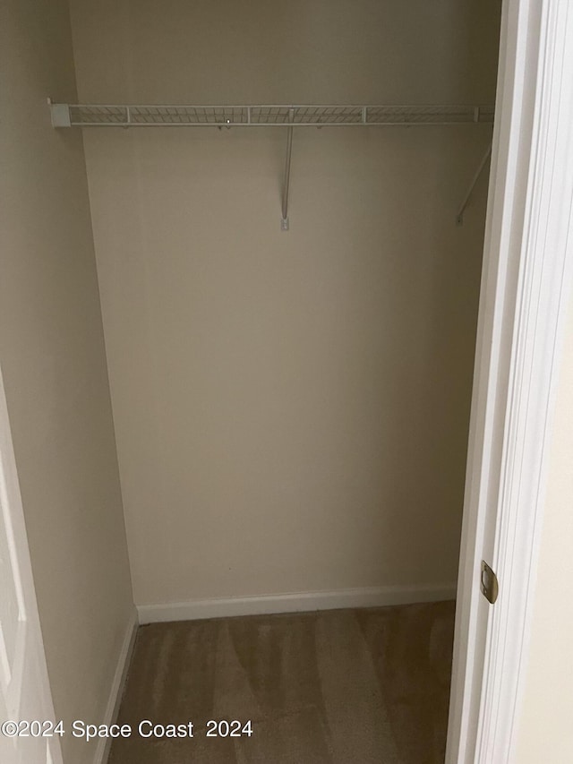 walk in closet with carpet flooring