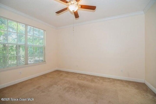 spare room with ceiling fan, crown molding, and light carpet