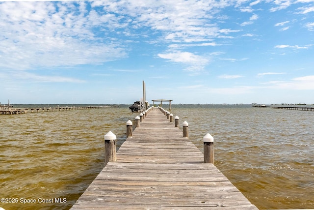 dock area with a water view