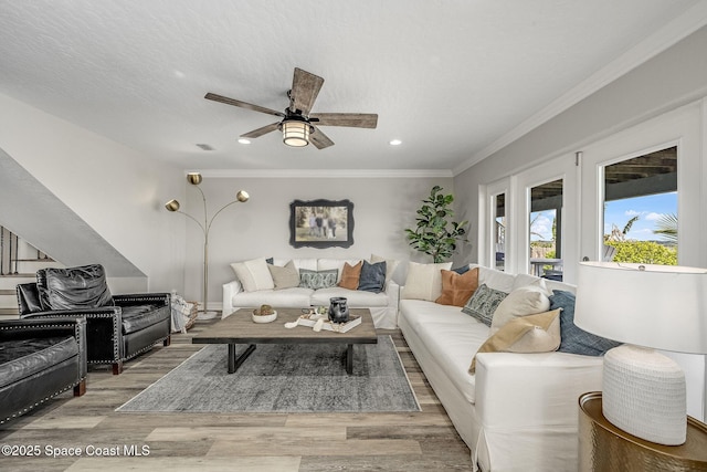 living room with ceiling fan, a textured ceiling, light hardwood / wood-style flooring, and crown molding