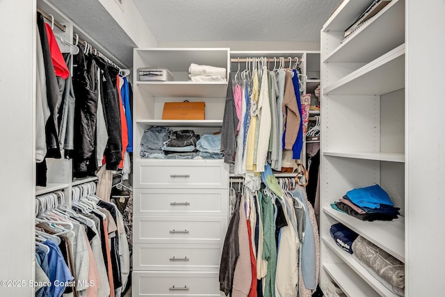 view of spacious closet