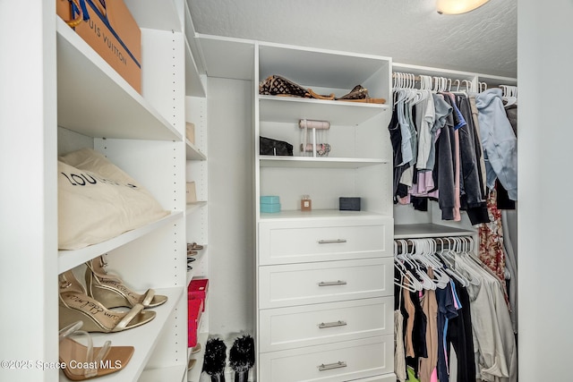 view of spacious closet