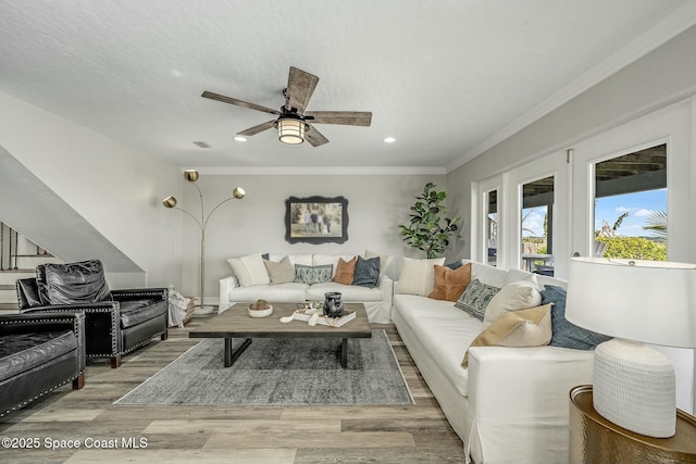 living room featuring ceiling fan, wood-type flooring, and ornamental molding