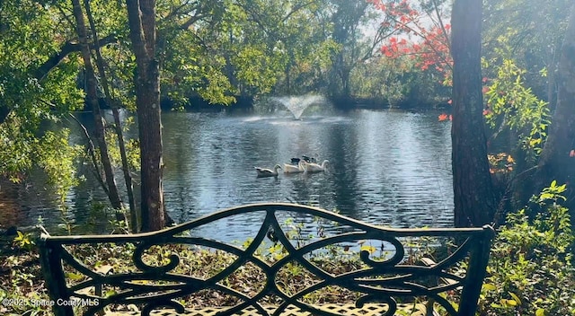 view of water feature