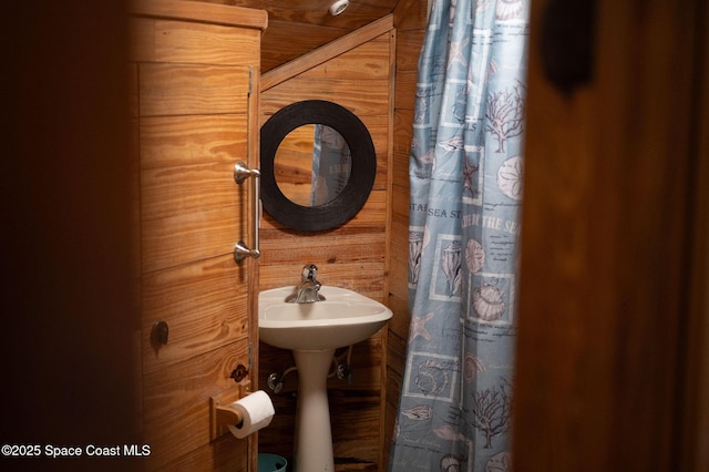 bathroom with wooden walls