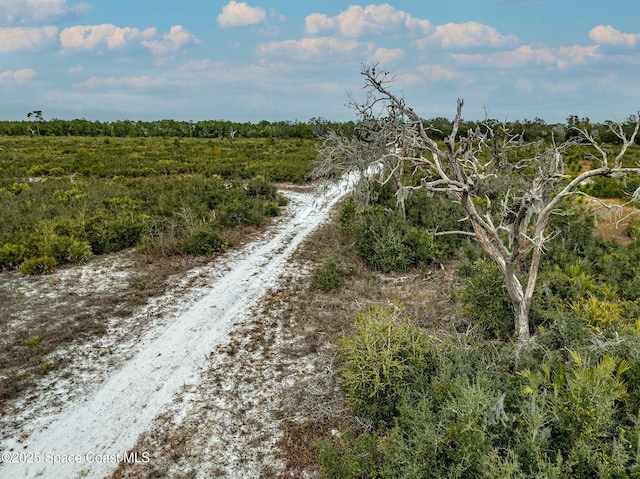 view of local wilderness