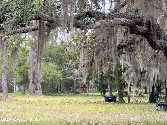 view of property's community with a yard