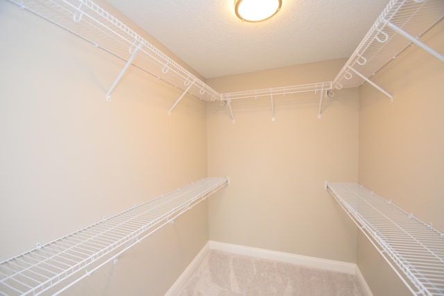 spacious closet featuring carpet floors