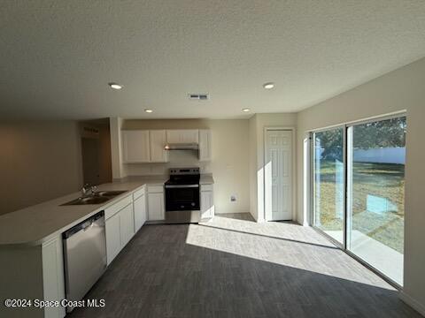 kitchen featuring appliances with stainless steel finishes, dark hardwood / wood-style flooring, a textured ceiling, sink, and white cabinetry