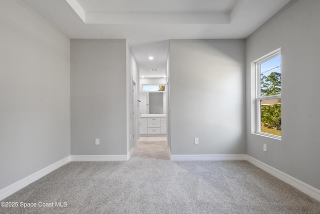 unfurnished room featuring light colored carpet and a raised ceiling