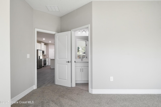 interior space featuring carpet flooring and sink