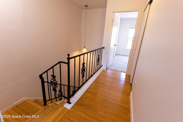 staircase featuring hardwood / wood-style flooring