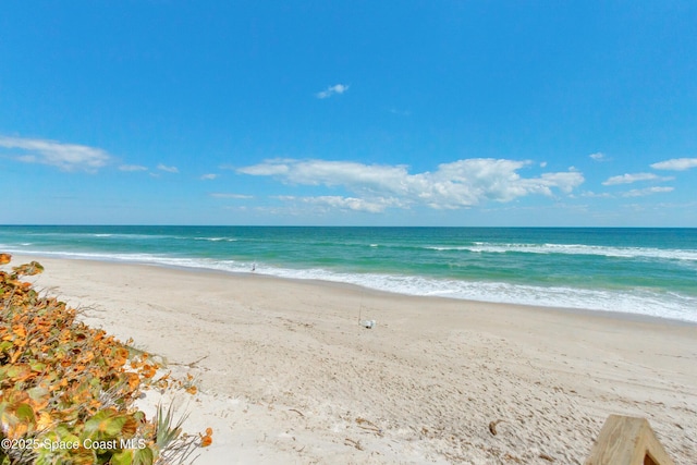 view of water feature featuring a beach view