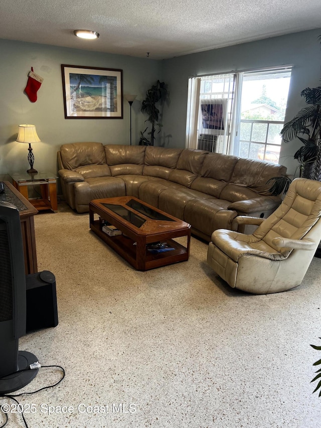 living room featuring a textured ceiling