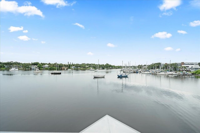 water view with a dock