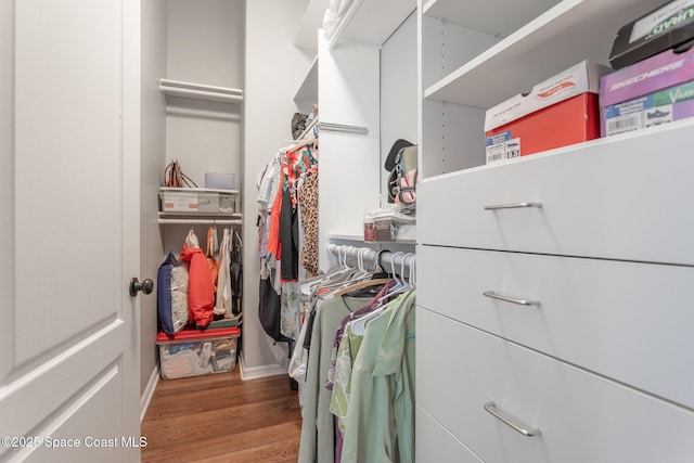 spacious closet with wood-type flooring