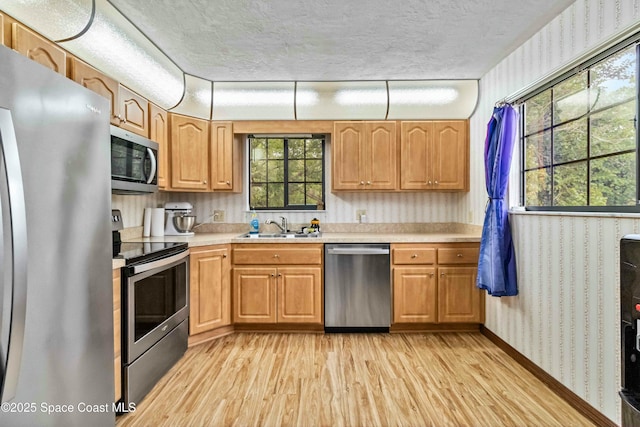 kitchen with light wood-type flooring, sink, and appliances with stainless steel finishes