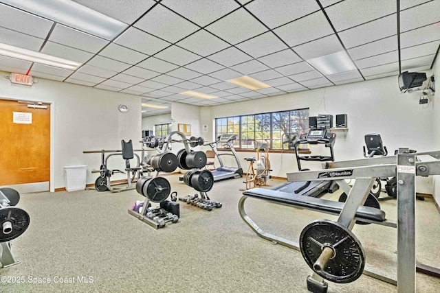 gym with a paneled ceiling and carpet floors