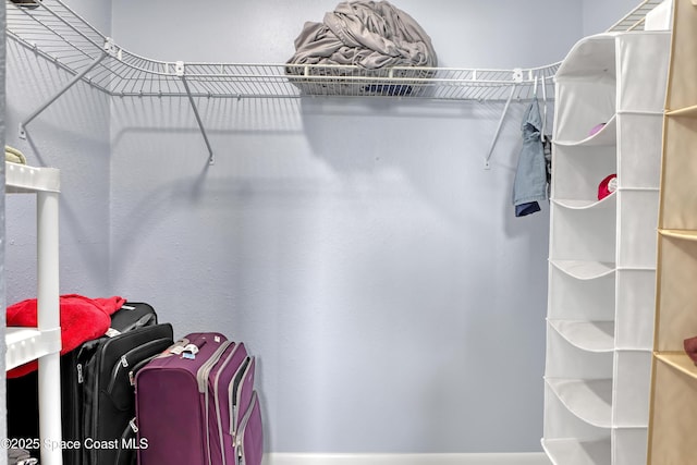 view of spacious closet