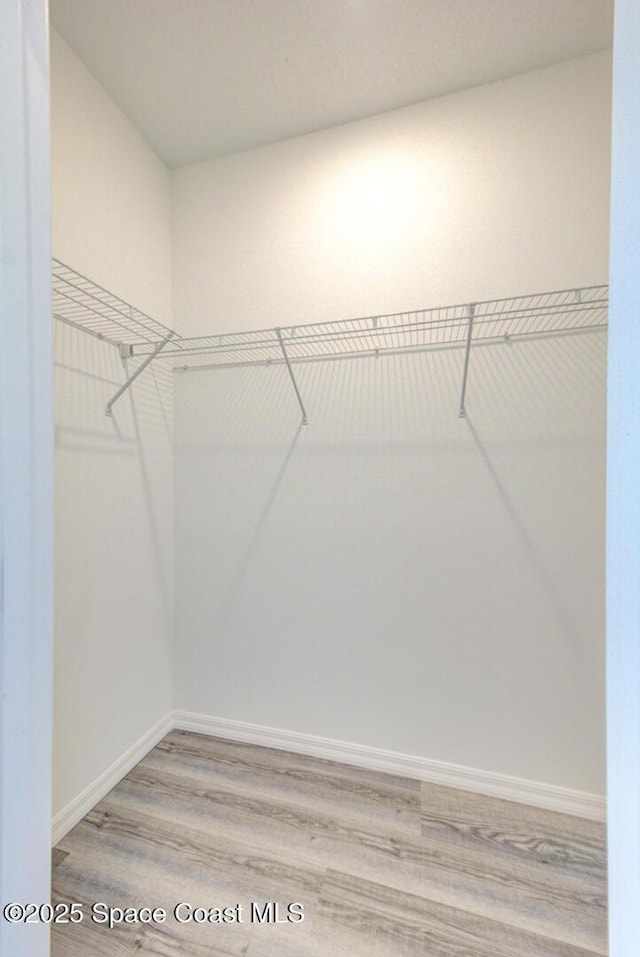 walk in closet with hardwood / wood-style flooring