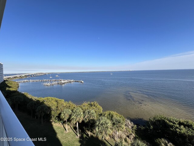 7 Indian River Ave Unit 705, Titusville, FL 32796 - photo 35
