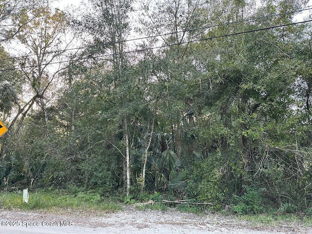 0000 Turpentine Rd, Mims FL, 32754 land for sale