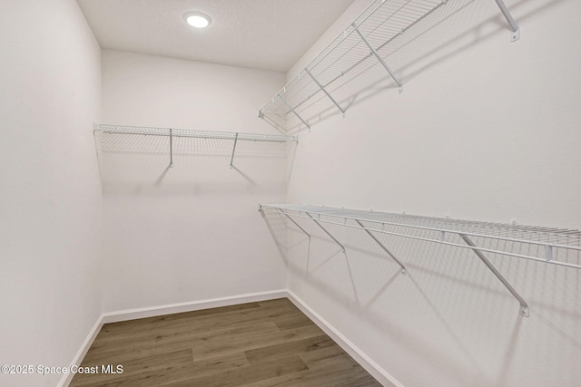 walk in closet featuring dark hardwood / wood-style flooring