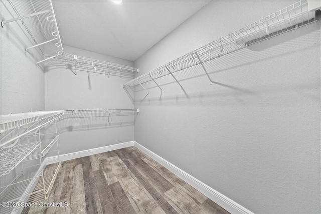 spacious closet featuring wood-type flooring