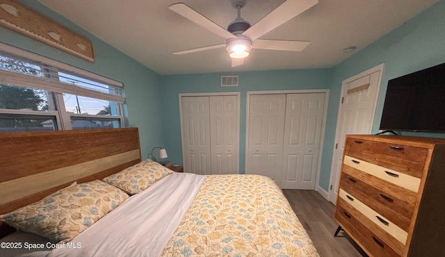 bedroom with hardwood / wood-style floors, ceiling fan, and two closets