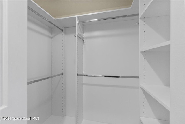 view of spacious closet