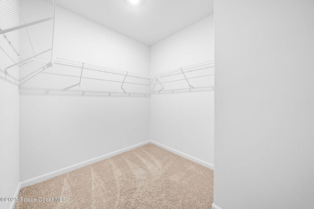 spacious closet with carpet floors