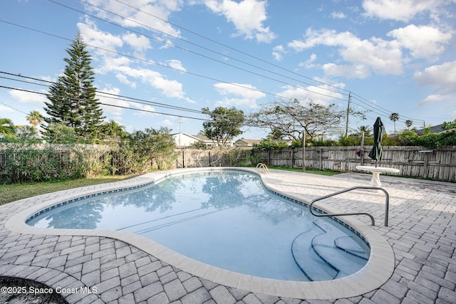 view of pool with a patio