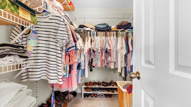 spacious closet with carpet