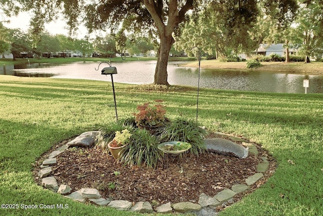 view of yard featuring a water view