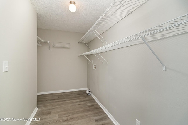 walk in closet with wood-type flooring