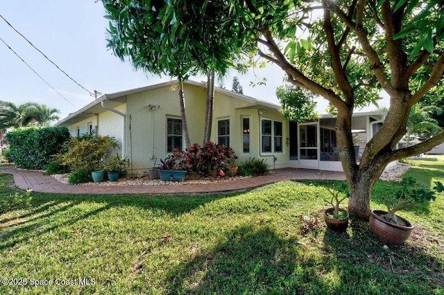 back of house featuring a yard