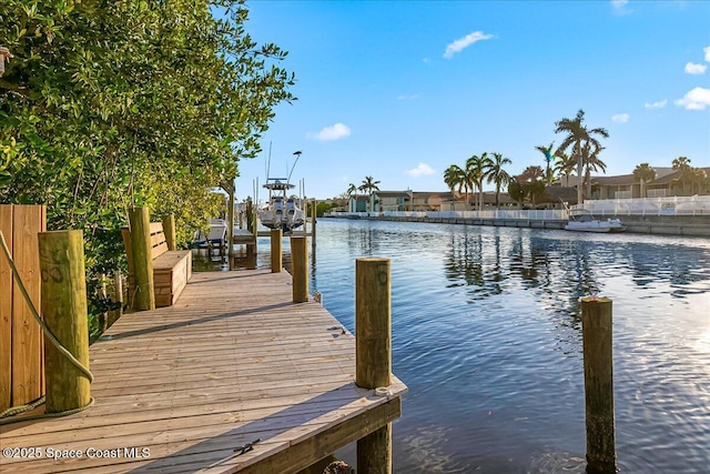 dock area with a water view