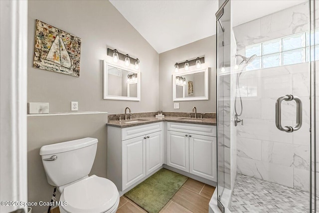 bathroom with toilet, vaulted ceiling, vanity, and a shower with shower door