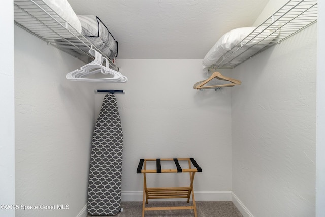 spacious closet featuring carpet flooring