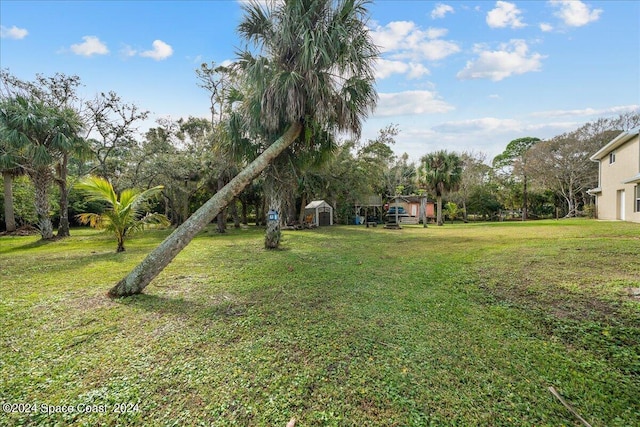 view of yard with a storage unit