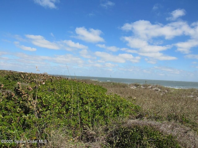 view of nature with a water view