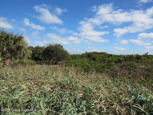 view of nature