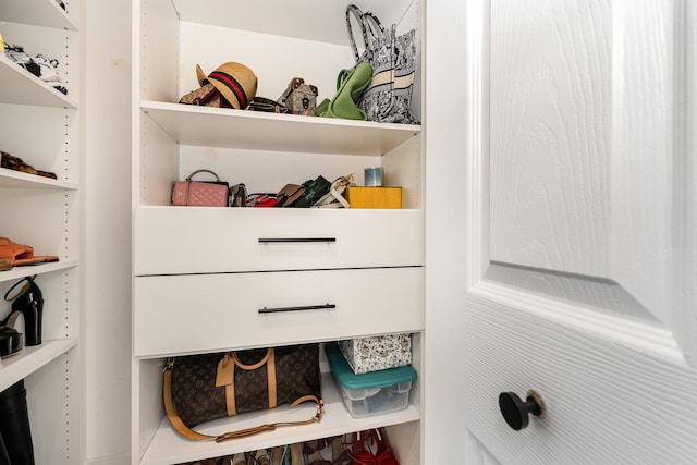 view of walk in closet