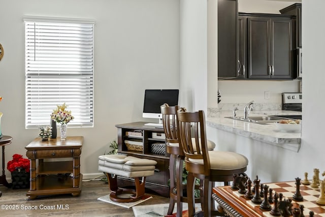 dining area featuring dark hardwood / wood-style flooring and sink