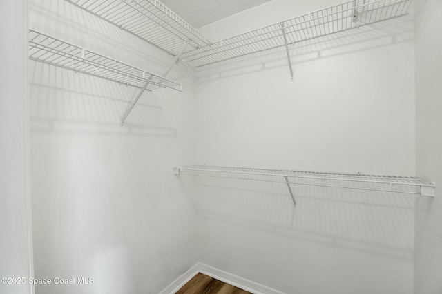 walk in closet with wood-type flooring