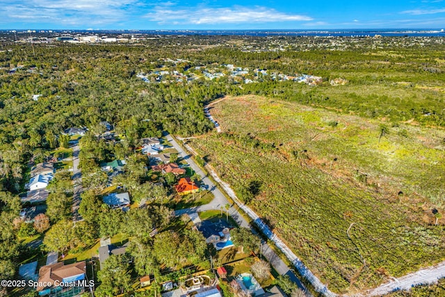 aerial view