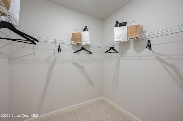 walk in closet with lofted ceiling and carpet floors